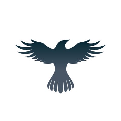 RAVEN logo