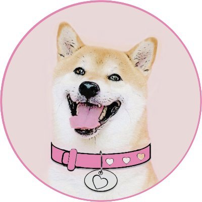 DOGEGF logo
