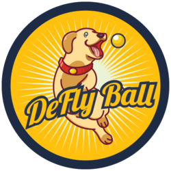 DEFLY logo