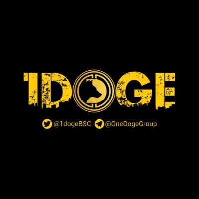 1DOGE logo